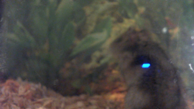 2012-01-08 20-28-47.158